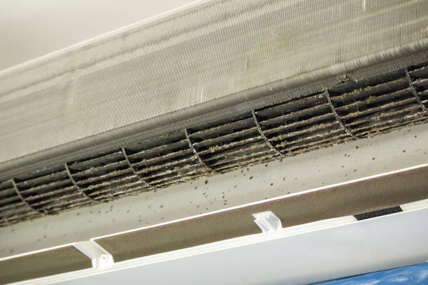Best Professional Duct Cleaning Services  in Golden Grove, SC